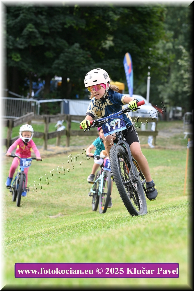 Náhled obrázku: 2025-3196-Celadna-.JPG