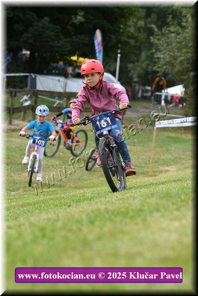 Náhled obrázku: 2025-3199-Celadna-.JPG