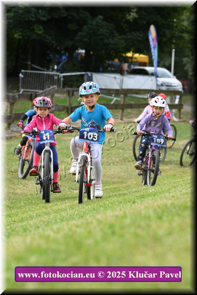 Náhled obrázku: 2025-3200-Celadna-.JPG