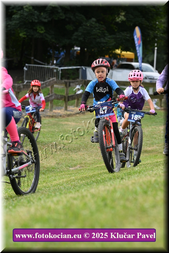 Náhled obrázku: 2025-3202-Celadna-.JPG