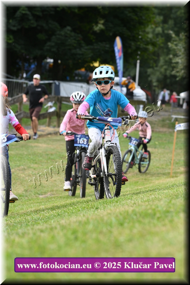 Náhled obrázku: 2025-3204-Celadna-.JPG