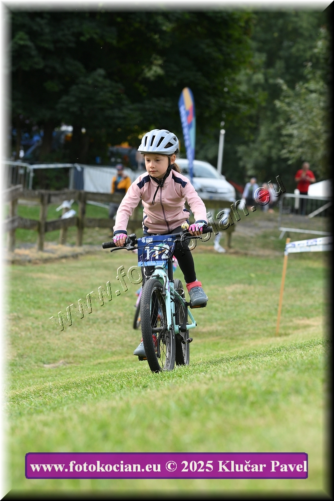 Náhled obrázku: 2025-3206-Celadna-.JPG