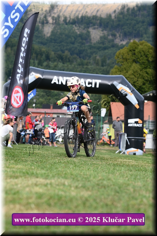 Náhled obrázku: 2025-3210-Celadna-.JPG