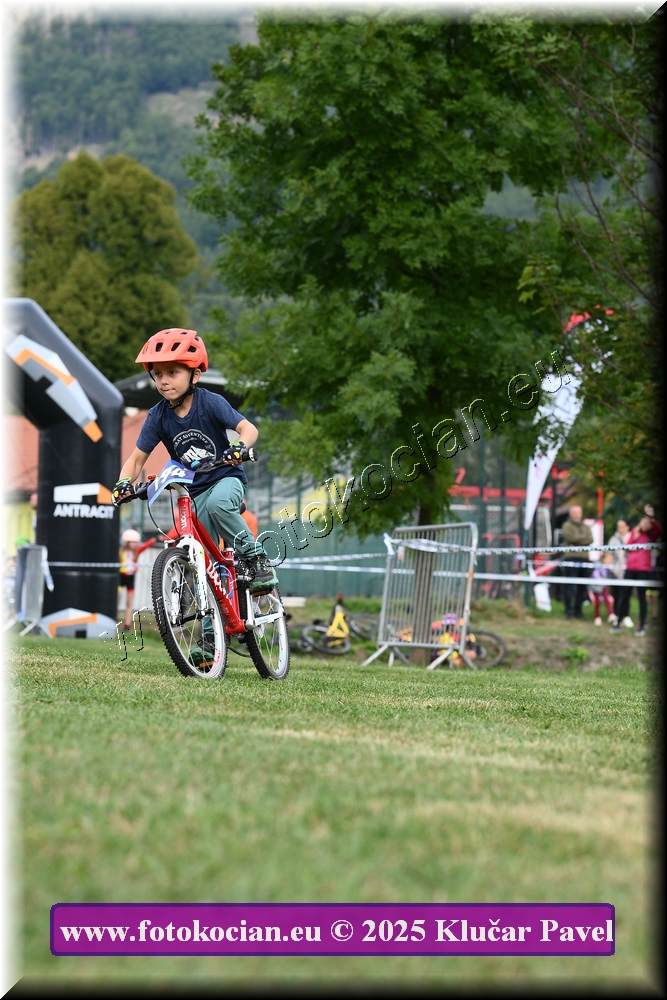 Náhled obrázku: 2025-3244-Celadna-.JPG