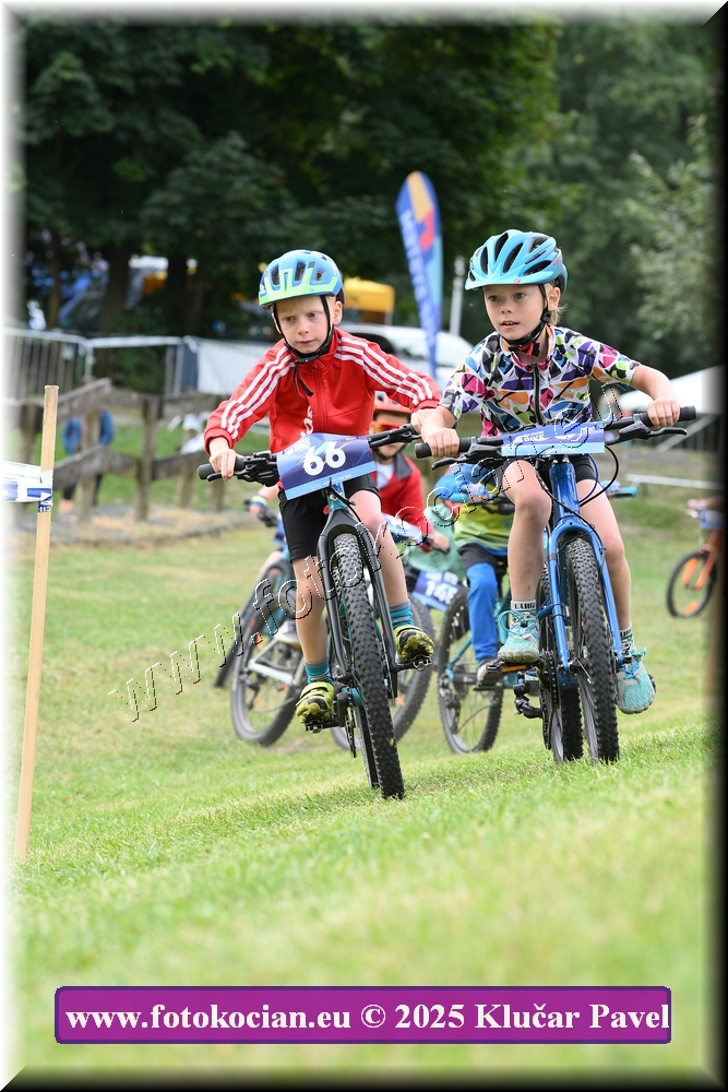 Náhled obrázku: 2025-3252-Celadna-.JPG