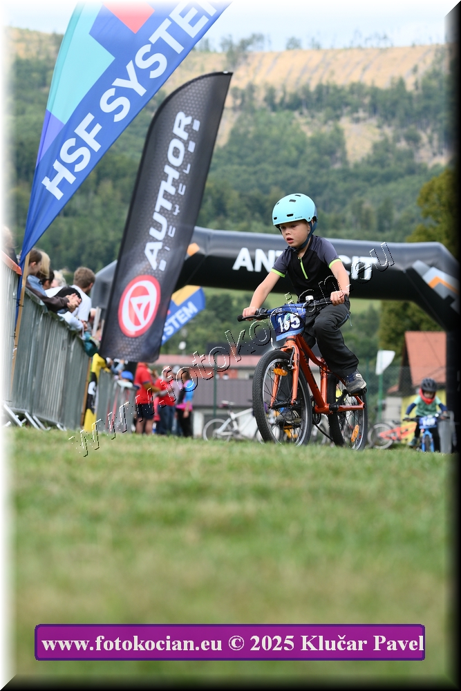 Náhled obrázku: 2025-3276-Celadna-.JPG