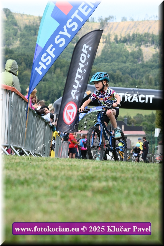 Náhled obrázku: 2025-3279-Celadna-.JPG