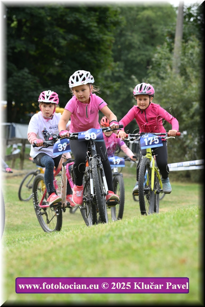 Náhled obrázku: 2025-3289-Celadna-.JPG