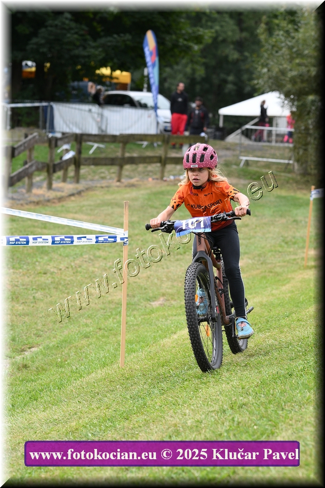 Náhled obrázku: 2025-3304-Celadna-.JPG