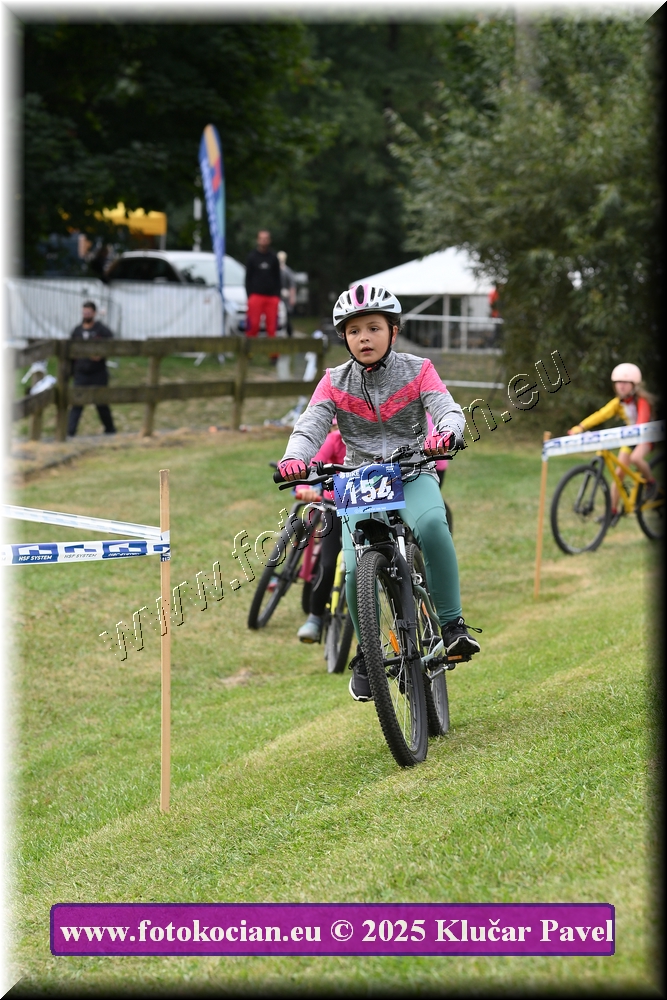 Náhled obrázku: 2025-3305-Celadna-.JPG