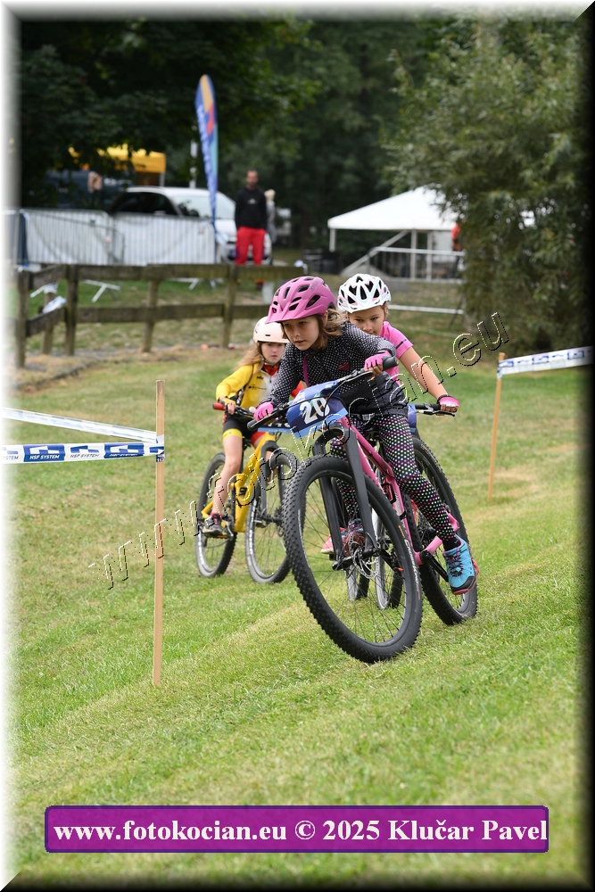 Náhled obrázku: 2025-3307-Celadna-.JPG