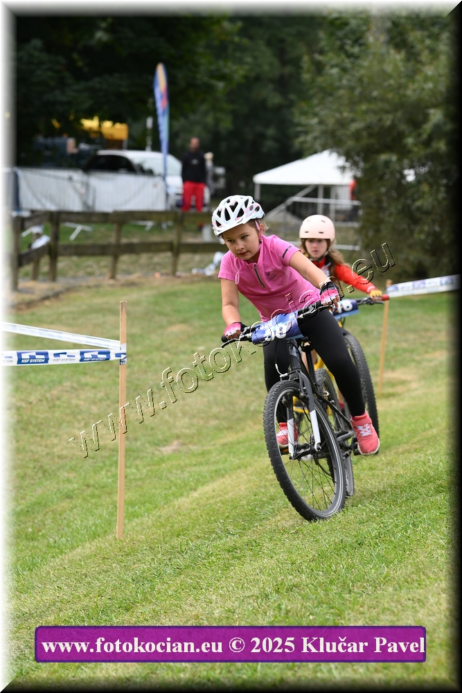 Náhled obrázku: 2025-3308-Celadna-.JPG