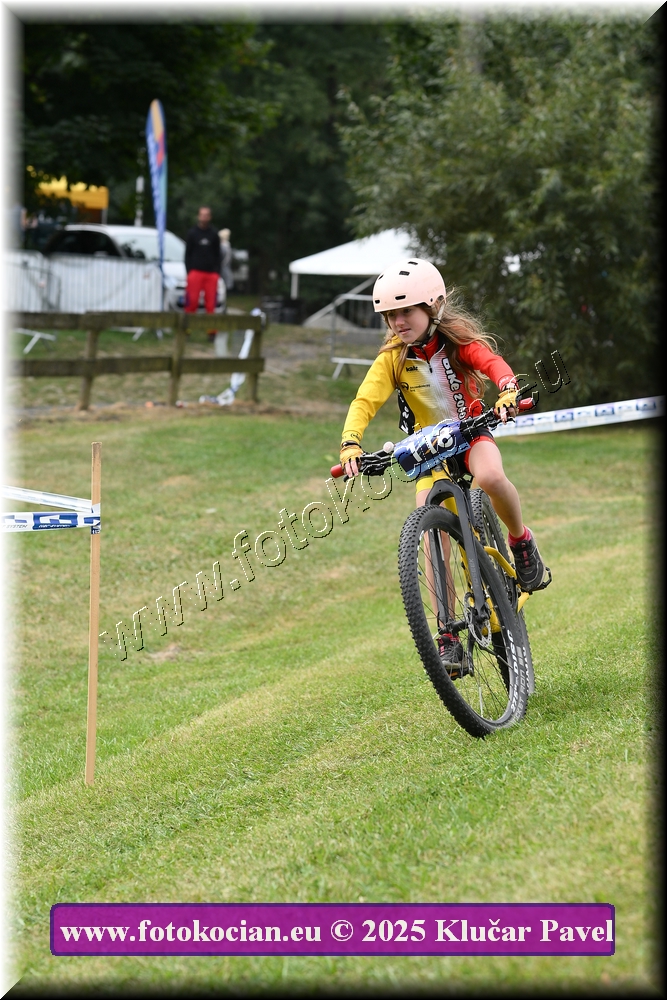 Náhled obrázku: 2025-3309-Celadna-.JPG