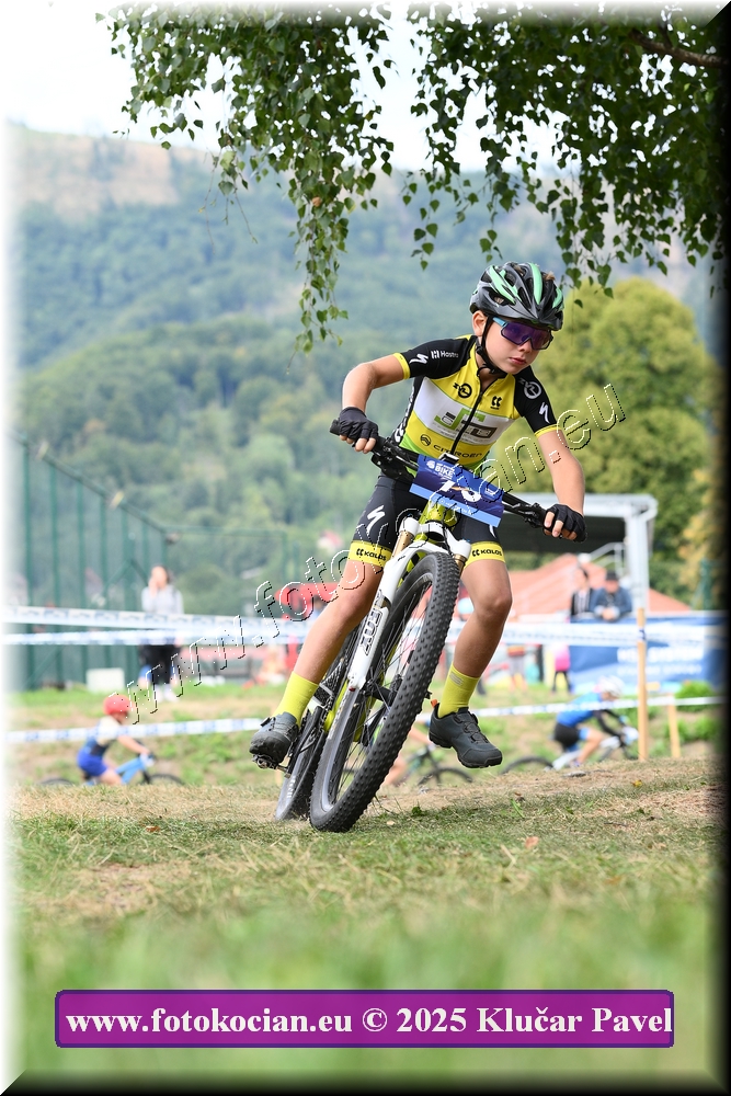 Náhled obrázku: 2025-3315-Celadna-.JPG