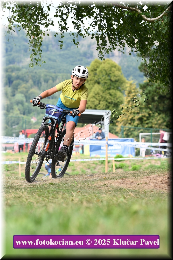 Náhled obrázku: 2025-3317-Celadna-.JPG