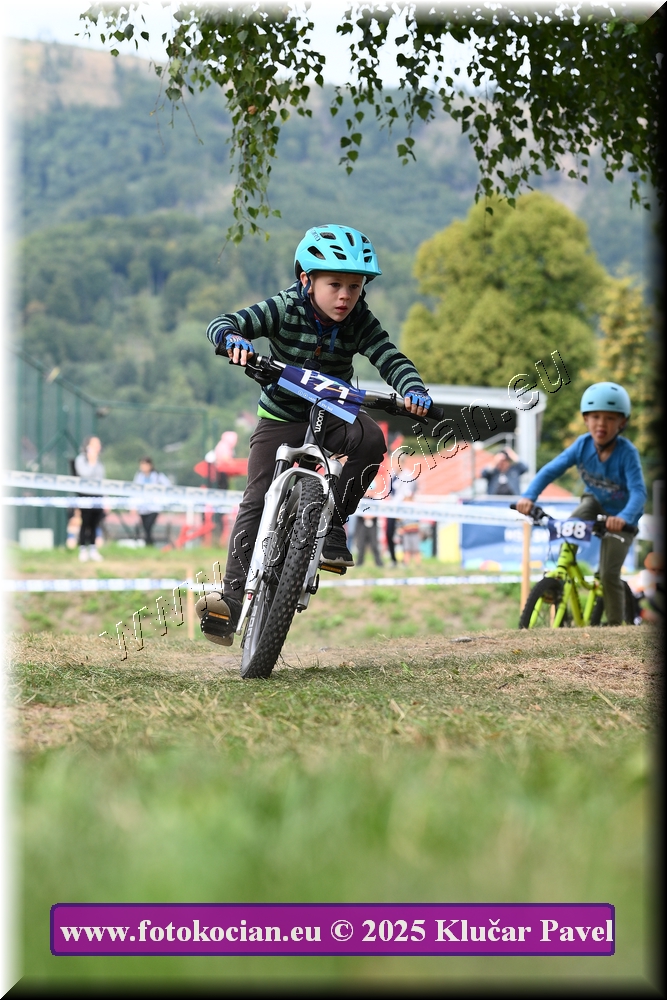 Náhled obrázku: 2025-3327-Celadna-.JPG