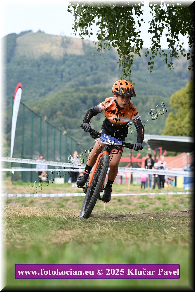 Náhled obrázku: 2025-3333-Celadna-.JPG