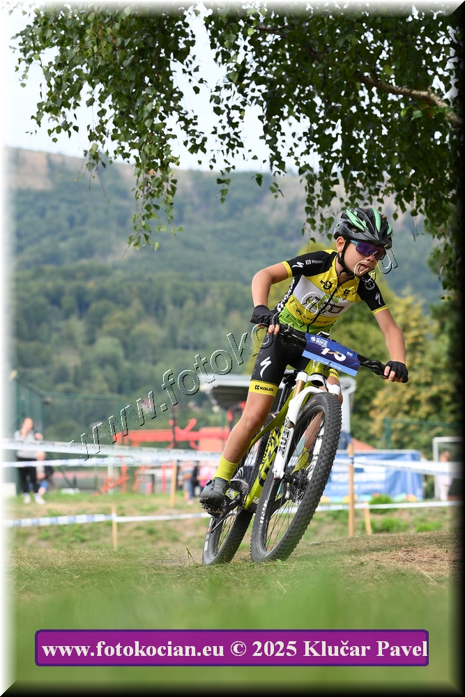 Náhled obrázku: 2025-3337-Celadna-.JPG