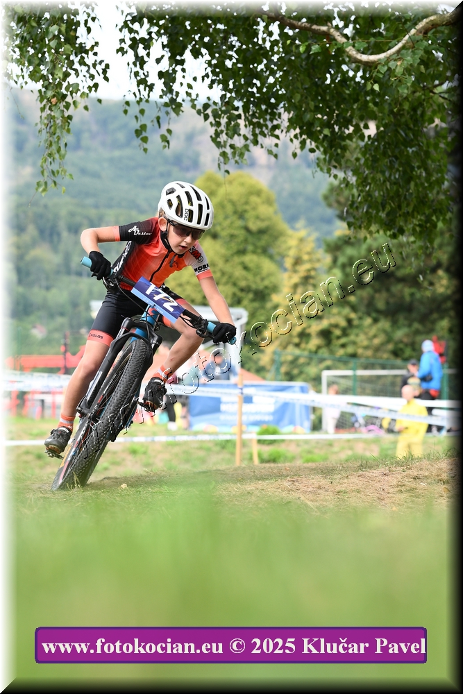 Náhled obrázku: 2025-3338-Celadna-.JPG