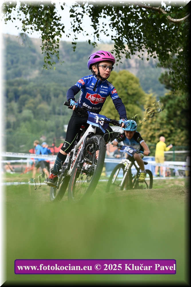 Náhled obrázku: 2025-3347-Celadna-.JPG