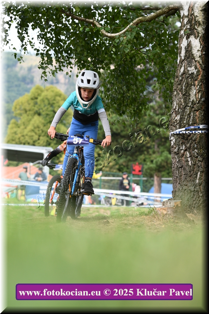 Náhled obrázku: 2025-3350-Celadna-.JPG