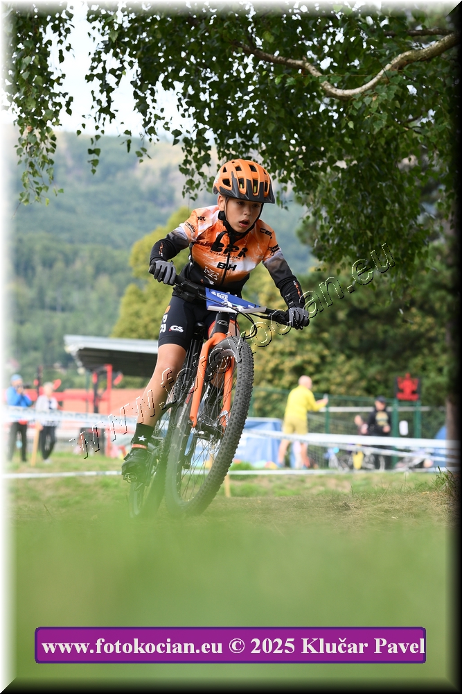 Náhled obrázku: 2025-3351-Celadna-.JPG