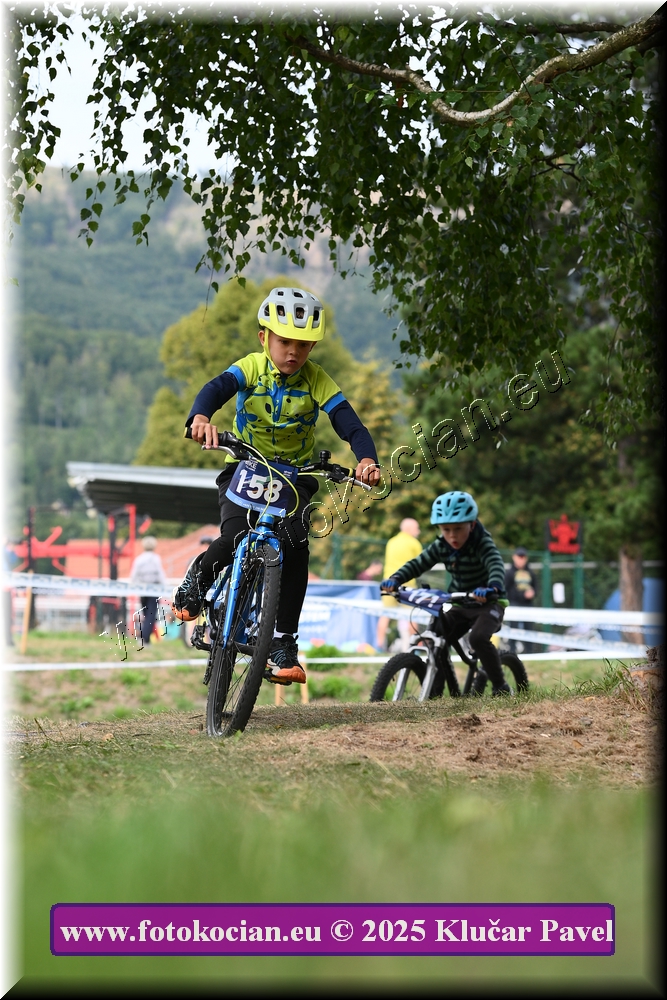 Náhled obrázku: 2025-3353-Celadna-.JPG