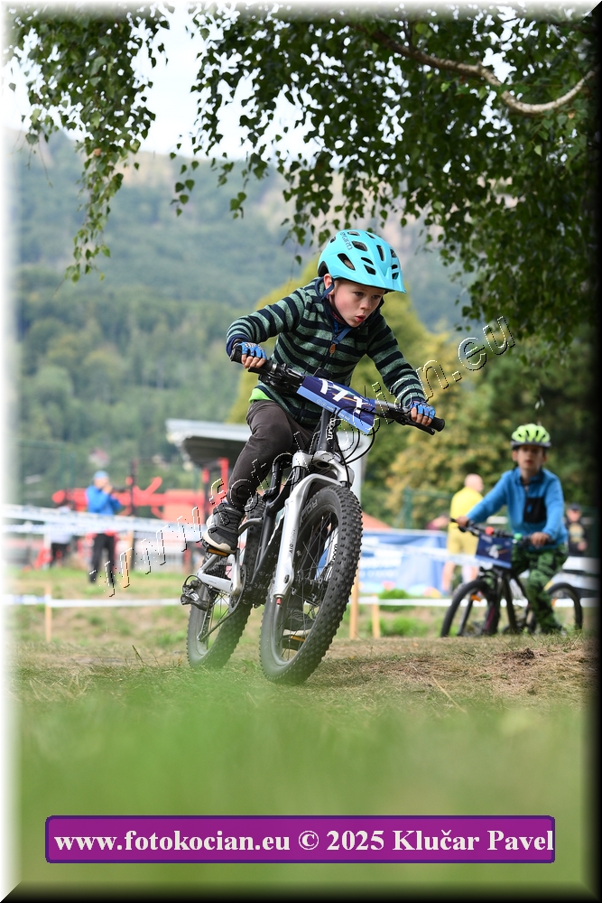 Náhled obrázku: 2025-3354-Celadna-.JPG