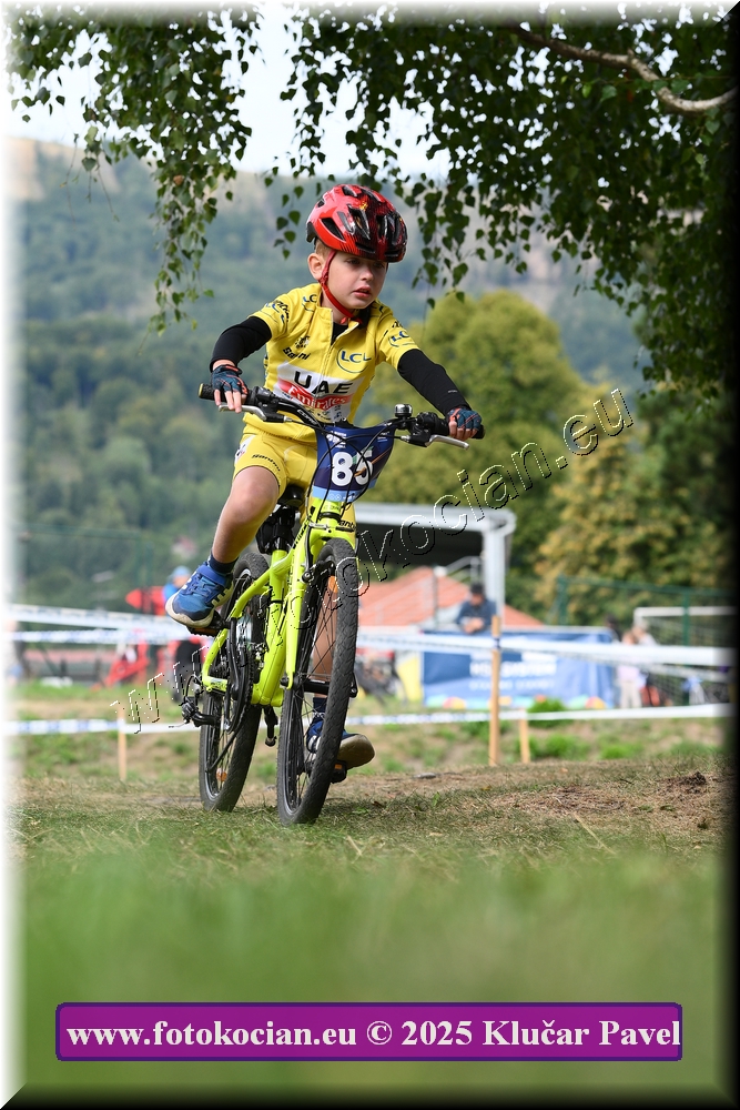 Náhled obrázku: 2025-3358-Celadna-.JPG