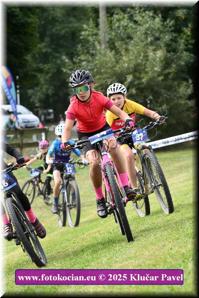 Náhled obrázku: 2025-3361-Celadna-.JPG