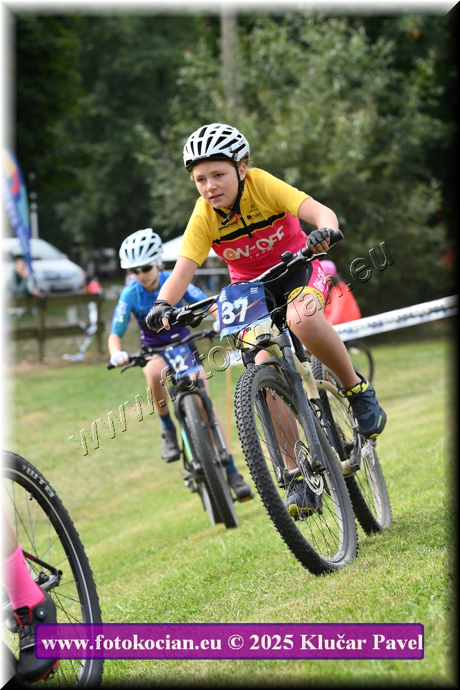 Náhled obrázku: 2025-3362-Celadna-.JPG