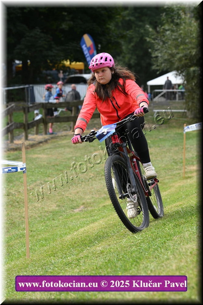 Náhled obrázku: 2025-3364-Celadna-.JPG