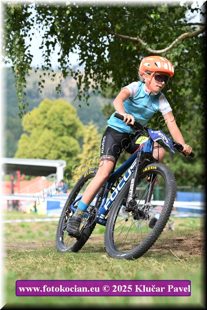 Náhled obrázku: 2025-3367-Celadna-.JPG