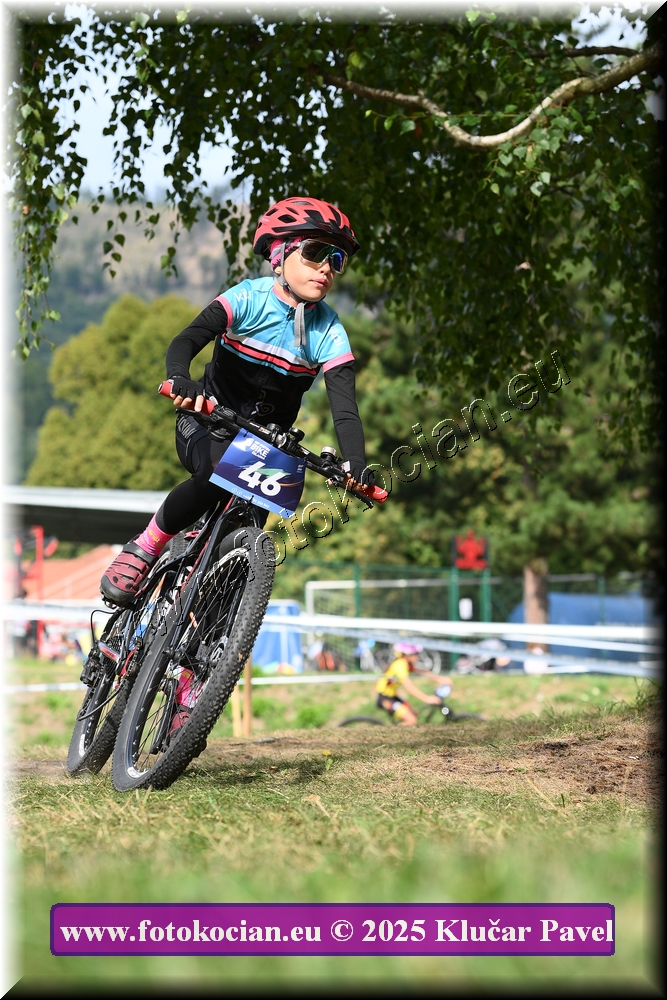 Náhled obrázku: 2025-3368-Celadna-.JPG