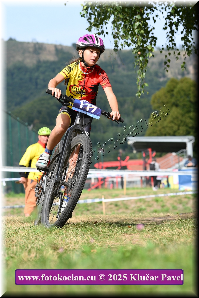 Náhled obrázku: 2025-3370-Celadna-.JPG