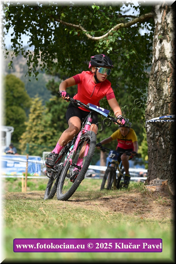 Náhled obrázku: 2025-3371-Celadna-.JPG