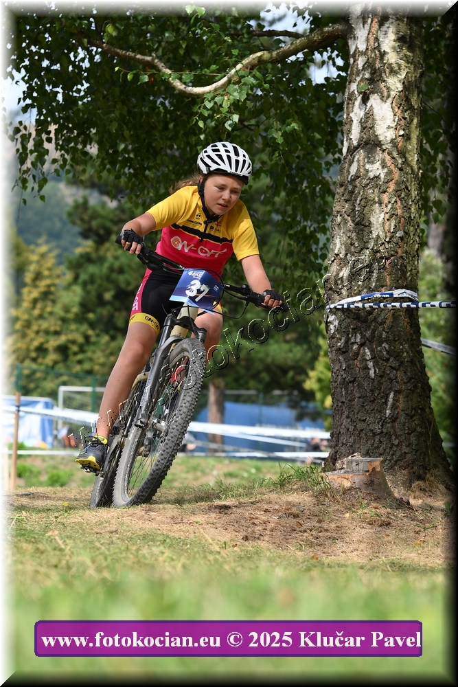 Náhled obrázku: 2025-3372-Celadna-.JPG