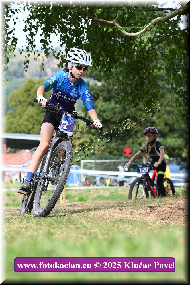 Náhled obrázku: 2025-3373-Celadna-.JPG