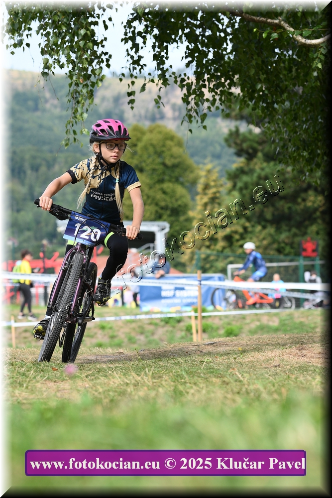 Náhled obrázku: 2025-3374-Celadna-.JPG