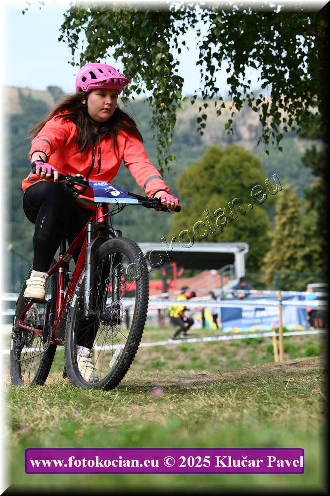 Náhled obrázku: 2025-3375-Celadna-.JPG