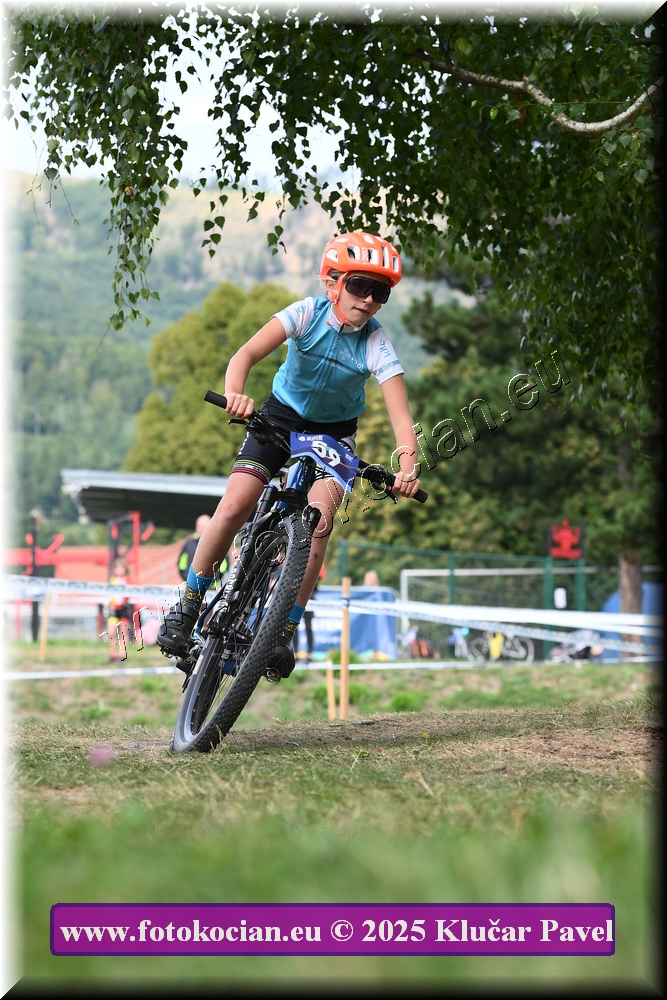 Náhled obrázku: 2025-3377-Celadna-.JPG