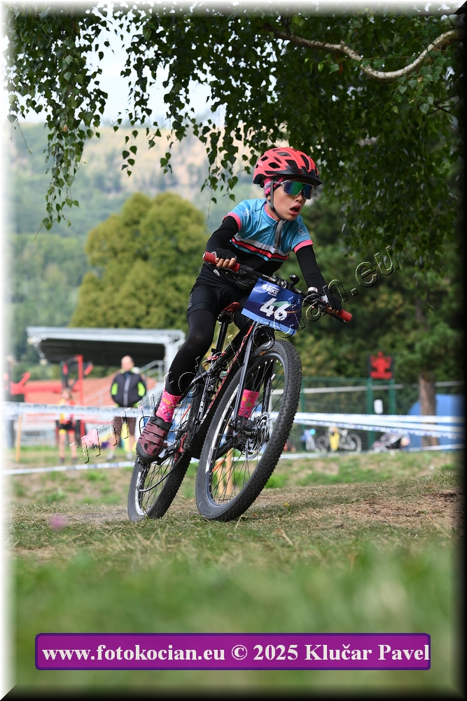 Náhled obrázku: 2025-3378-Celadna-.JPG