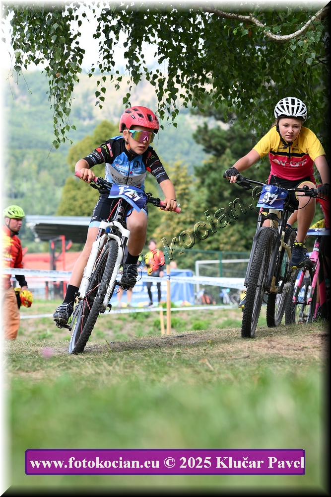 Náhled obrázku: 2025-3379-Celadna-.JPG