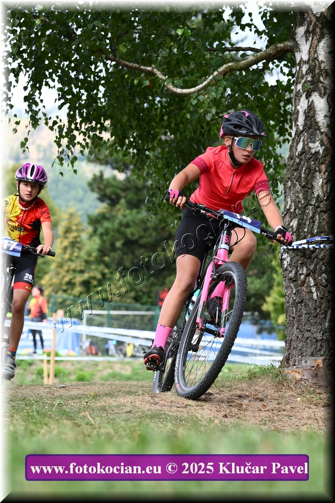 Náhled obrázku: 2025-3380-Celadna-.JPG