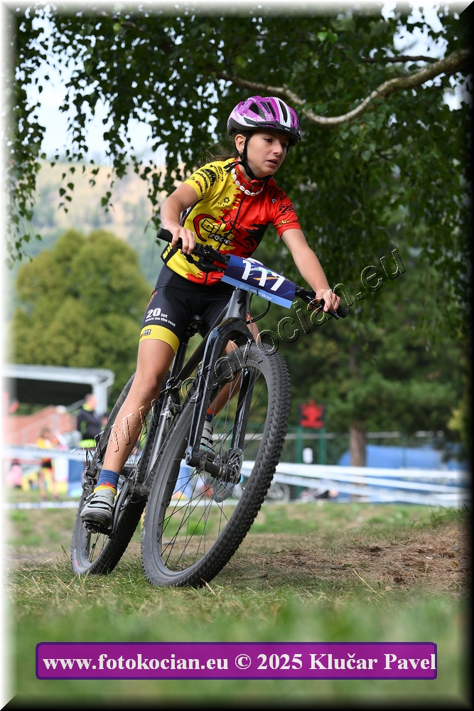 Náhled obrázku: 2025-3381-Celadna-.JPG