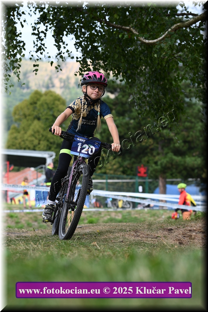 Náhled obrázku: 2025-3383-Celadna-.JPG