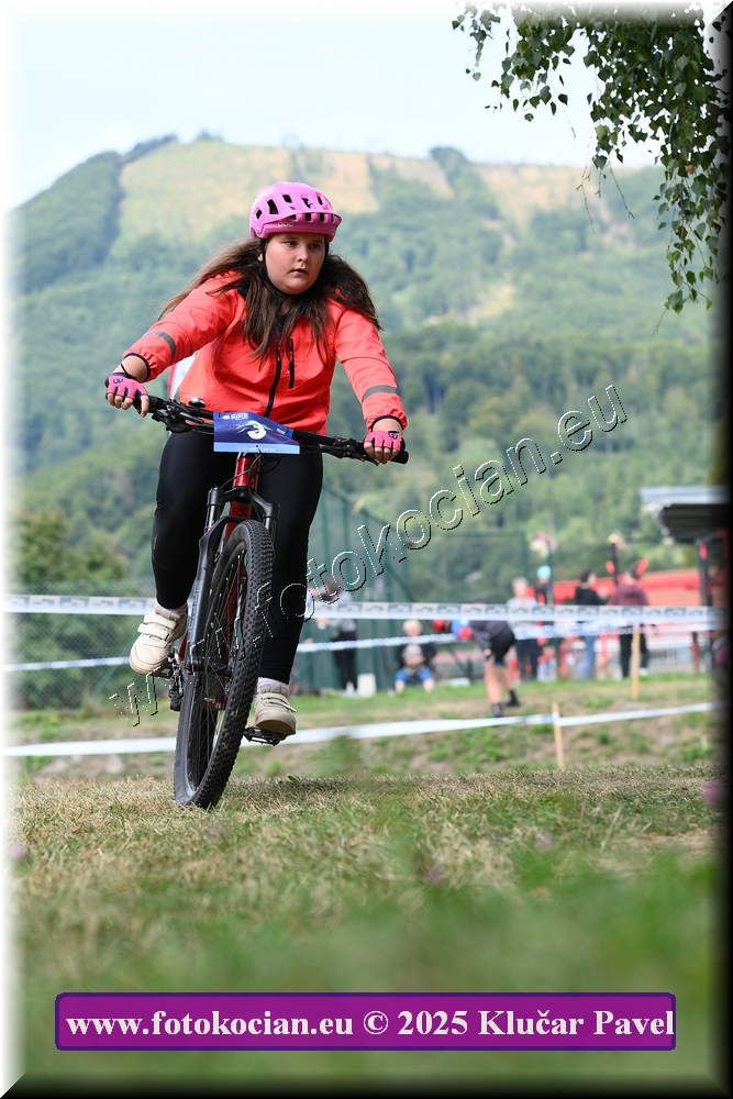 Náhled obrázku: 2025-3384-Celadna-.JPG