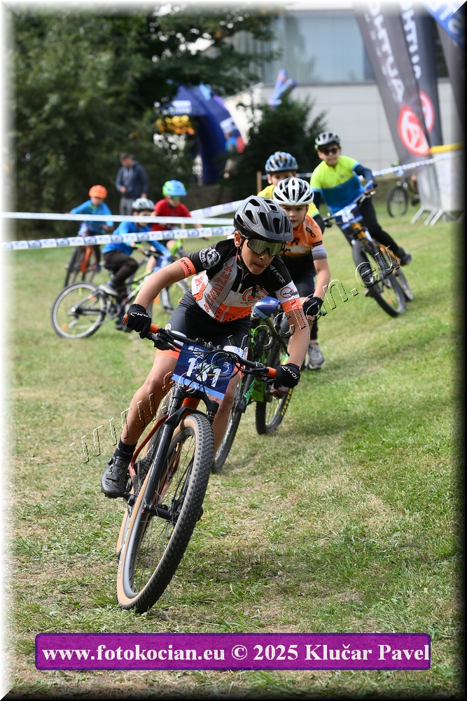 Náhled obrázku: 2025-3387-Celadna-.JPG