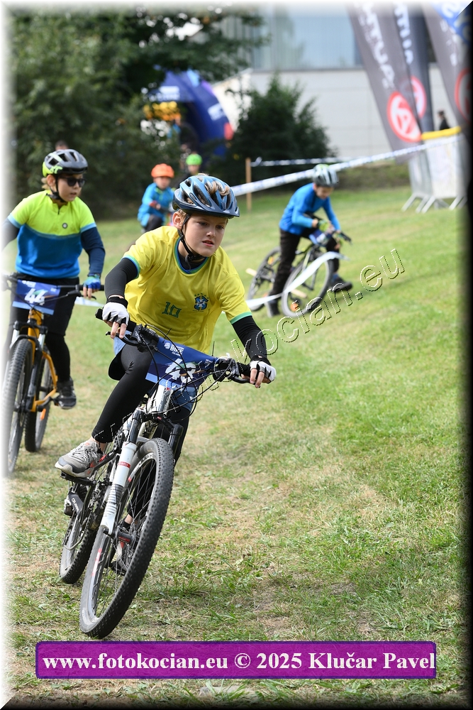 Náhled obrázku: 2025-3389-Celadna-.JPG