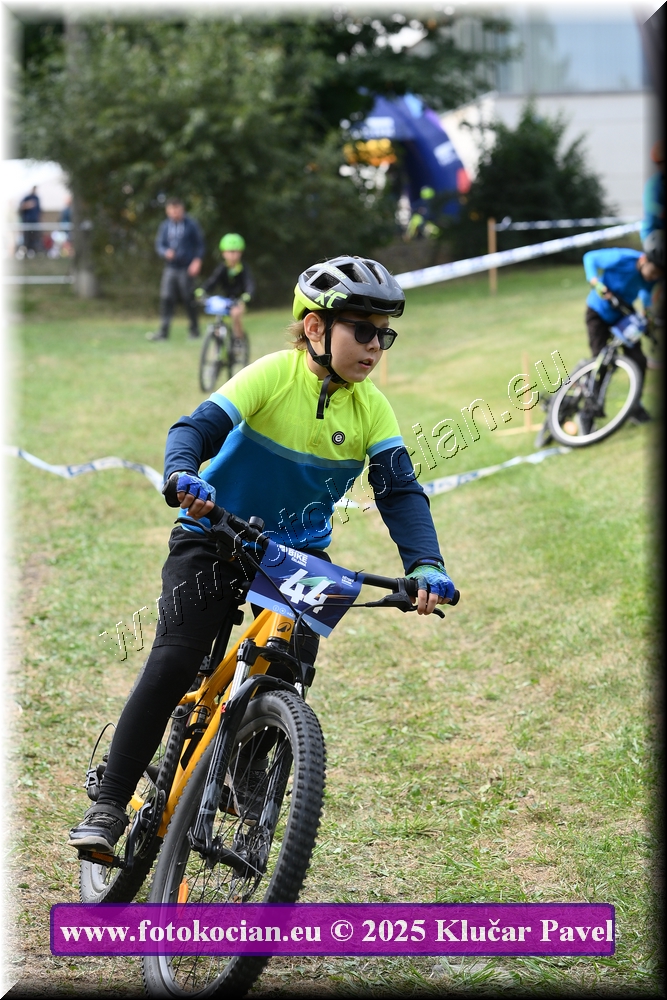 Náhled obrázku: 2025-3390-Celadna-.JPG